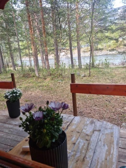 Torfoss Gard, Hytte Utleie, Campingvogn Og Bobil Plasser Potka Exterior foto