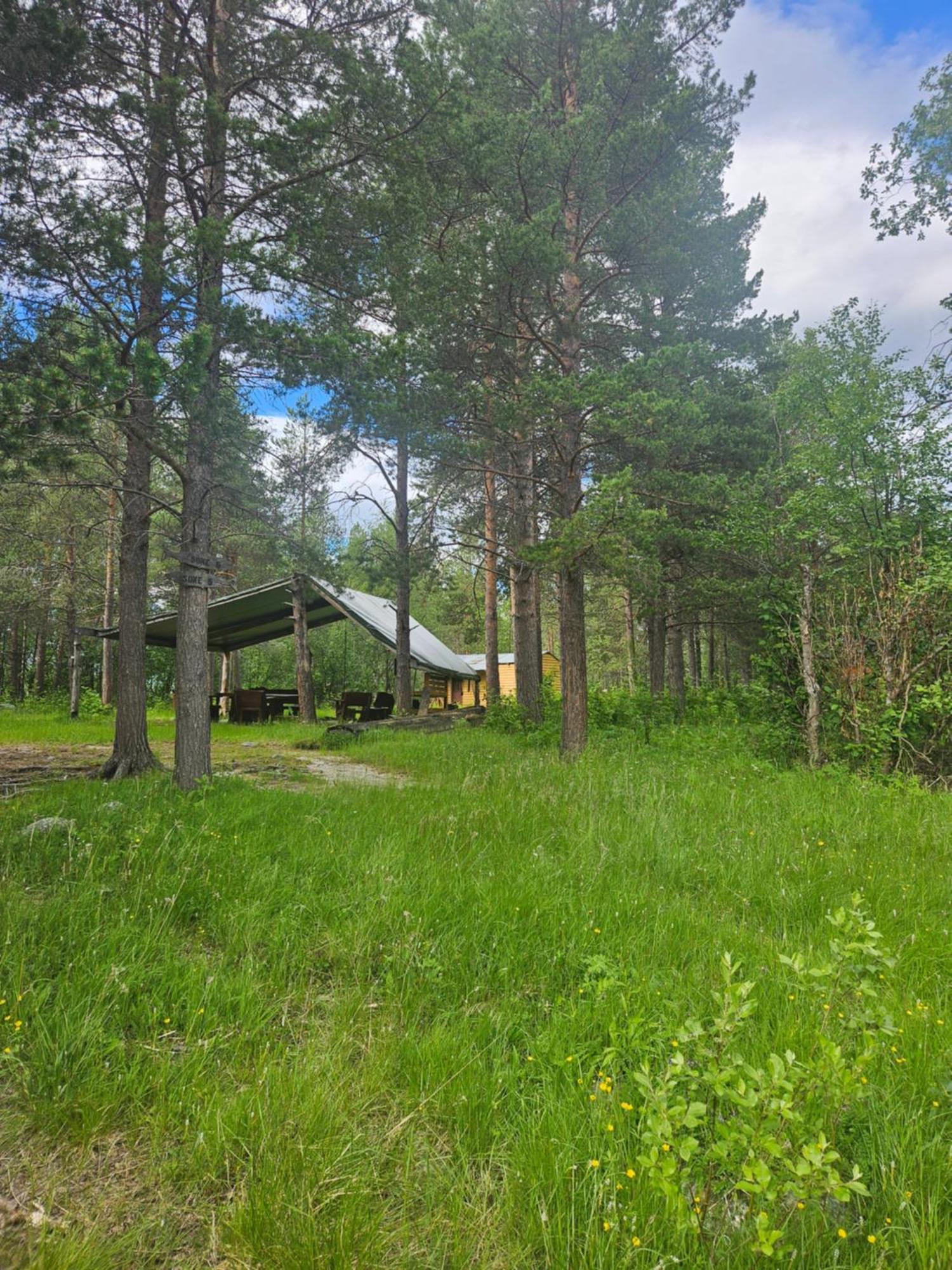 Torfoss Gard, Hytte Utleie, Campingvogn Og Bobil Plasser Potka Exterior foto